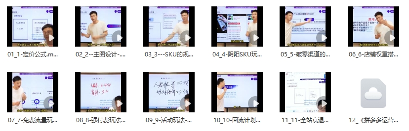2023拼多多运营训练营：流量底层逻辑，免费+付费流量玩法（12节课）-第2张