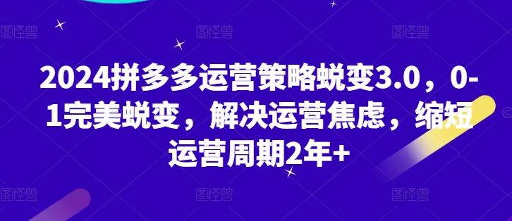 2024拼多多运营策略蜕变3.0，0-1完美蜕变，解决运营焦虑，缩短运营周期2年-优知网