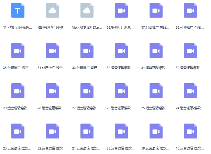 2024拼多多运营策略蜕变3.0，0-1完美蜕变，解决运营焦虑，缩短运营周期2年-第2张