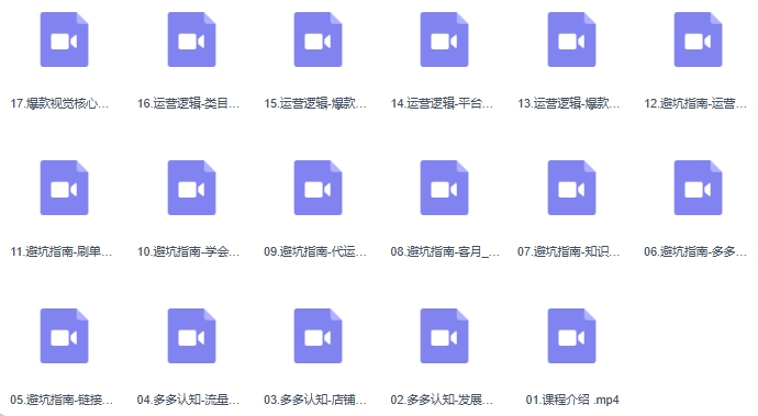 2024拼多多运营策略蜕变3.0，0-1完美蜕变，解决运营焦虑，缩短运营周期2年-第3张