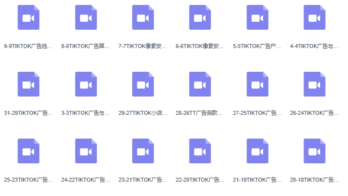 TikTok广告投放课程，从0-1实战课，带你快速入门TikTok广告投放（30节课）-第2张