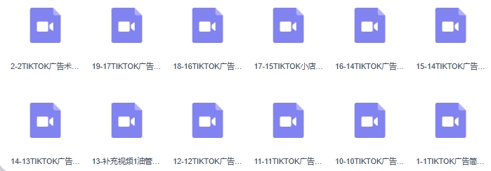 TikTok广告投放课程，从0-1实战课，带你快速入门TikTok广告投放（30节课）-第3张