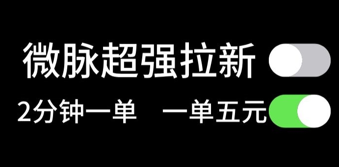 微脉没脑子引流，每一单5元钱，轻轻松松日入三位数-优知网