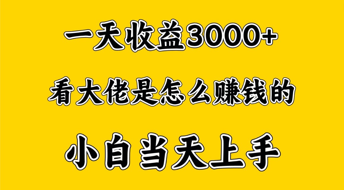 一天赚3000多，大佬是那样赚大钱的，新手当日入门，穷人翻身新项目-优知网