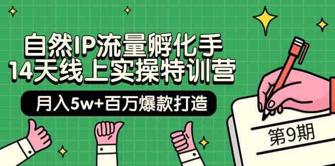 当然IP总流量卵化手14无线天线上实际操作夏令营【第9期】月入5w 上百万爆款打造 (74节)-优知网