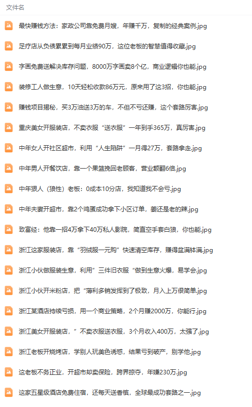 图片[1]-（9607期）真实可信391套商业运营模式，年收入几十到几百万案例剖析（电子书籍 短视频 图文并茂）