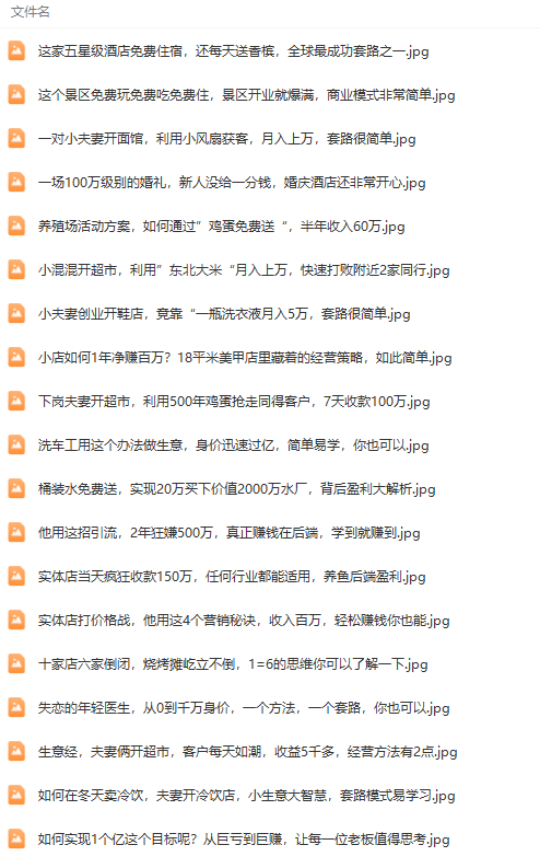 图片[2]-（9607期）真实可信391套商业运营模式，年收入几十到几百万案例剖析（电子书籍 短视频 图文并茂）