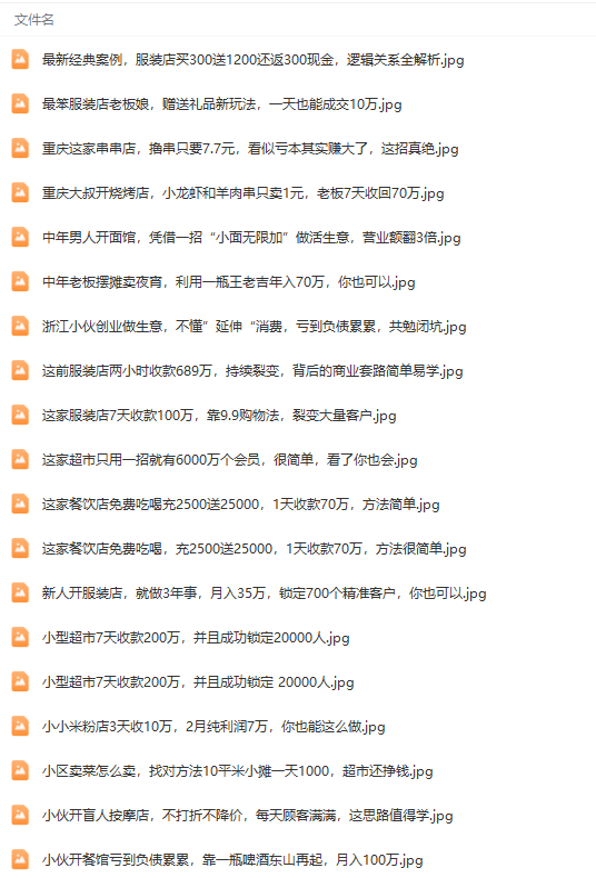 图片[4]-（9607期）真实可信391套商业运营模式，年收入几十到几百万案例剖析（电子书籍 短视频 图文并茂）