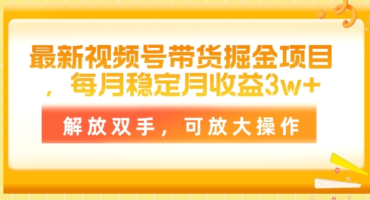 全新视频号带货掘金队新项目，每月平稳月盈利1w ，解锁新技能，可变大实际操作-优知网