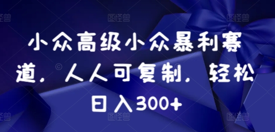 小众暴利赛道，人人可复制，轻松日入300+-优知网