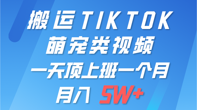 一键运送TIKTOK萌宝类视频 一部手机即可操作 所有平台都可公布 轻轻松松月入5W-优知网
