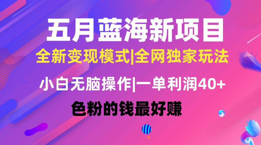 五月蓝海项目全新玩法，小白无脑操作，一天几分钟，矩阵操作，月入4万+-优知网