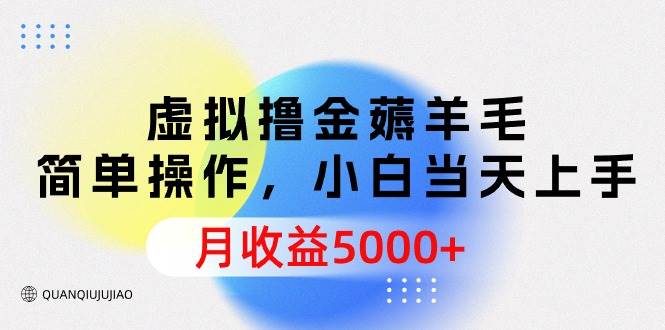 虚拟撸金薅羊毛，简单操作，小白当天上手，月收益5000+-优知网