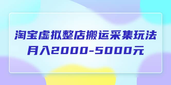 淘宝虚拟整店搬运采集玩法分享课：月入2000-5000元（5节课）-优知网