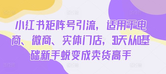 小红书矩阵号引流，适用于电商、微商、实体门店，30天从0基础新手蜕变成卖货高手-优知网