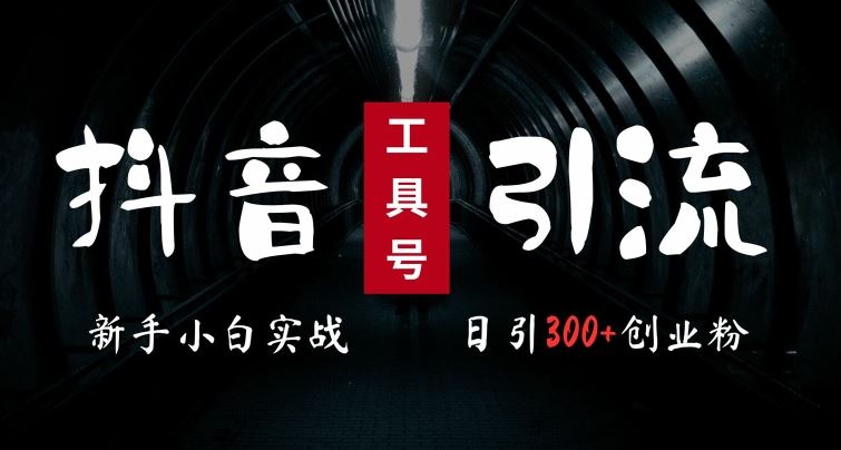 2024最新抖音工具号引流玩法，高效日引300+创业粉，当天变现5k，小白也可成为实战高手-优知网