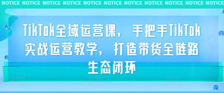 TikTok全域运营课，手把手TikTok实战运营教学，打造带货全链路生态闭环-优知网
