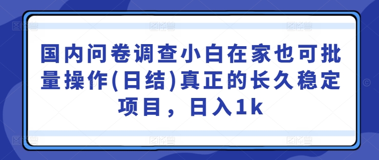 国内问卷调查小白在家也可批量操作(日结)真正的长久稳定项目，日入1k【揭秘】-优知网
