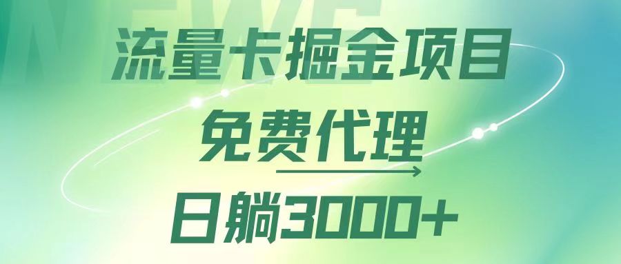 流量卡掘金代理，日躺赚3000+，变现暴力，多种推广途径-优知网