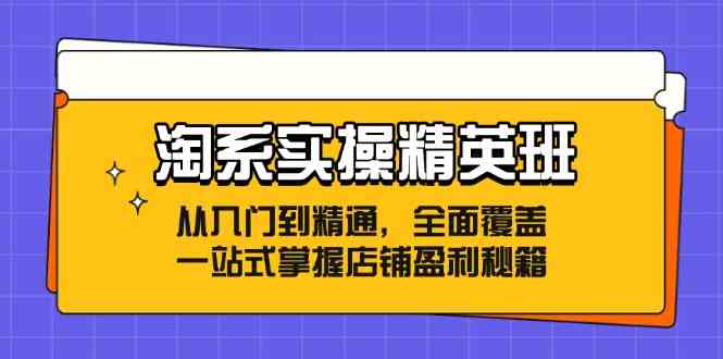 淘系实操精英班：从入门到精通，全面覆盖，一站式掌握店铺盈利秘籍-优知网