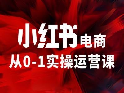小红书电商从0-1实操运营课，让你从小白到精英-优知网