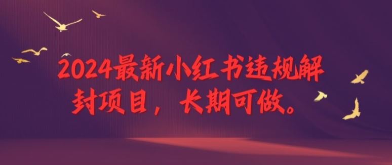 2024最新小红书违规解封项目，长期可做，一个可以做到退休的项目【揭秘】-优知网