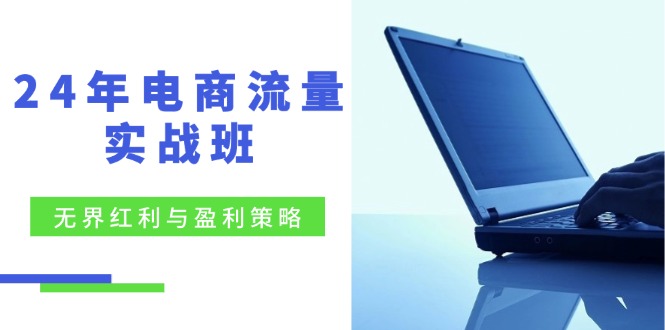 24年电商流量实战班：无界 红利与盈利策略，终极提升/关键词优化/精准…-优知网