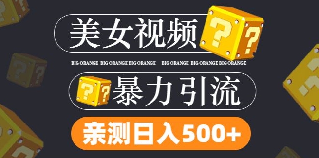 搬运tk美女视频全网分发，日引s粉300+，轻松变现，不限流量不封号-优知网