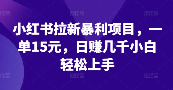 小红书拉新暴利项目，一单15元，日赚几千小白轻松上手-优知网